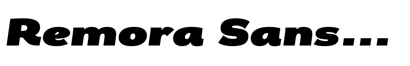 Remora Sans W5 Ultra Italic